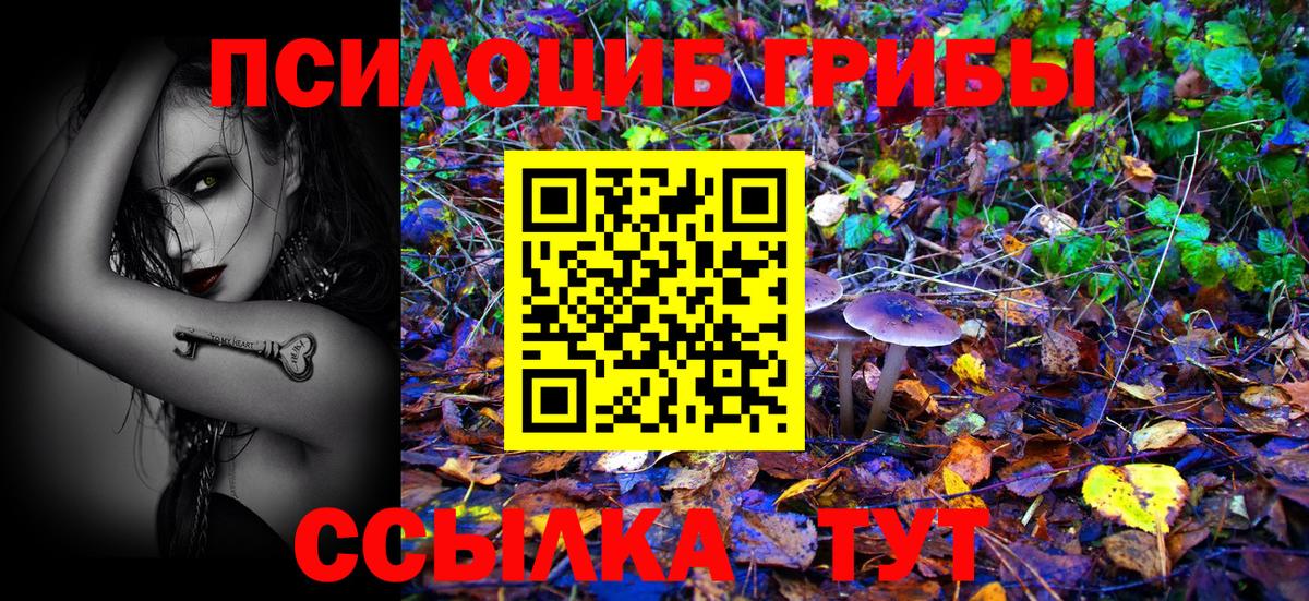 Моздок  Галлюциногенные грибы мухоморы  Вход с VPN  Галлюциногенные грибы Psilocybe 